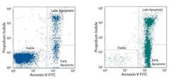 Novus Biologicals™ Annexin V Apoptosis Kit, Fluorescein